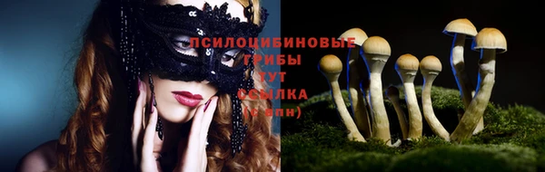 синтетический гашиш Алексеевка