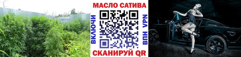 где купить   Катайск  Дистиллят ТГК гашишное масло 